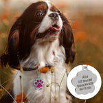Bark And Bling Rhinestone Collar Tags - Shop & Dog