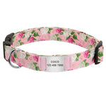 Bark And Blossom Girly Dog Collar - Shop & Dog