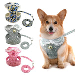 Bells and Bowties Matching Fashion Harness And Leash Set - Shop & Dog