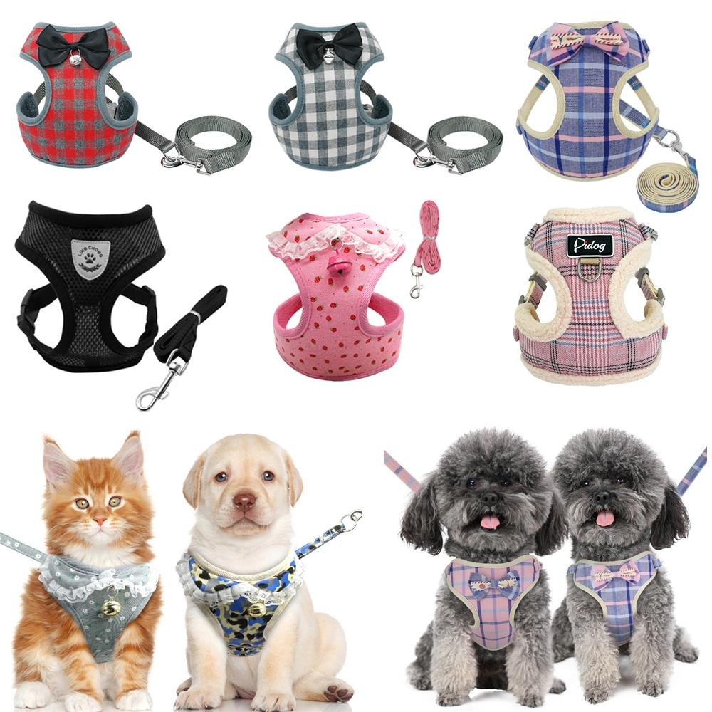 Bells and Bowties Matching Fashion Harness And Leash Set - Shop & Dog