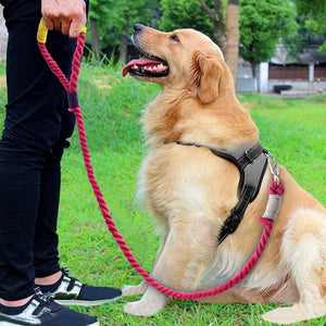 Braided Rope Leash For Medium To Large Breeds 1.6M/5 Feet - Shop & Dog