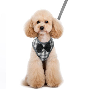 Check Bowtie Harness And Matching Leash Set - Shop & Dog