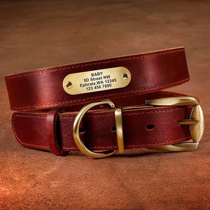 Genuine Leather Dog Collar With Engraved Name Plate - Shop & Dog