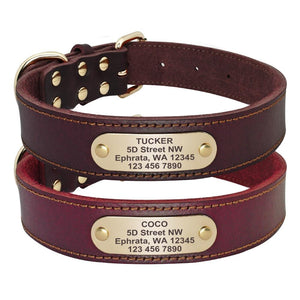 Genuine Leather Personalised Dog Collar - Shop & Dog