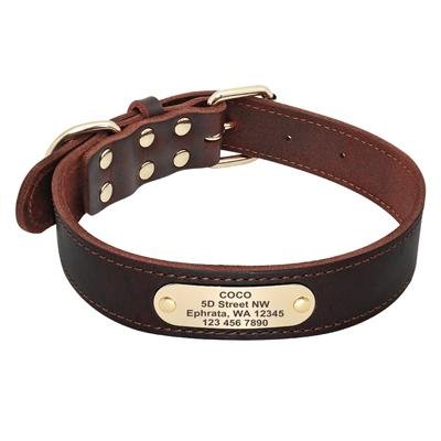 Genuine Leather Personalised Dog Collar - Shop & Dog
