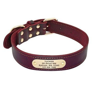 Red leather collar