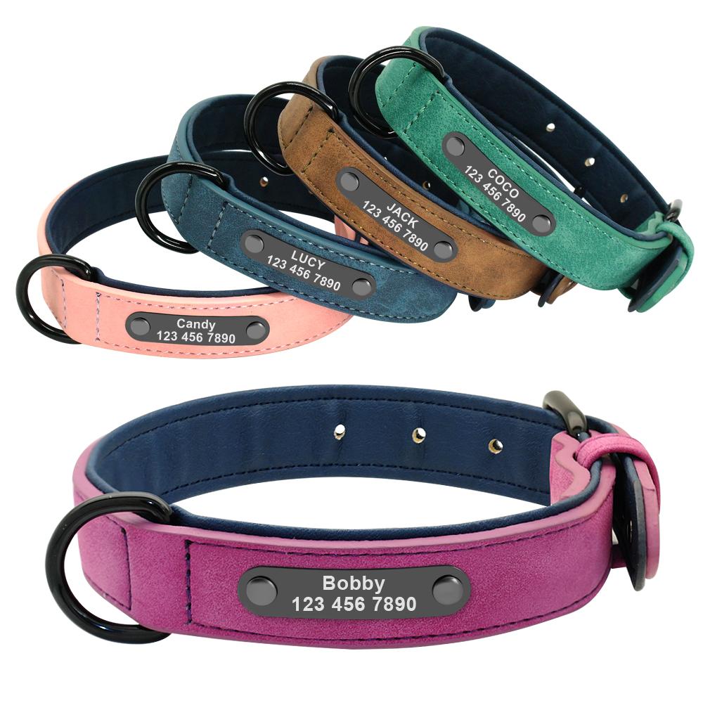 Suede Soft Leather Dog Collars in purple, pink, green and blue