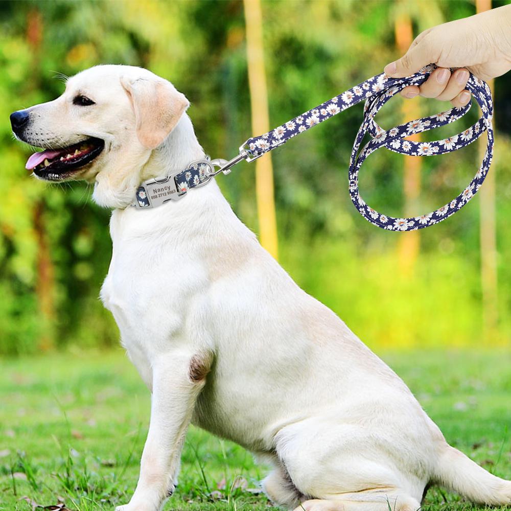 Matching Dog Collar And Leash Set - Shop & Dog
