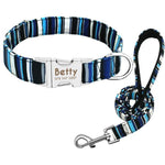 Striped blue dog leash and collar bundle