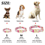 Girl dog collar on Chihuahua, Beagle, and Labrador