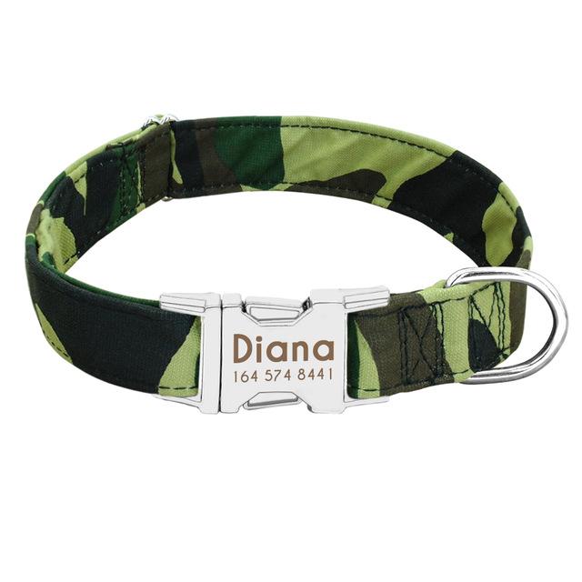 Personalised Nameplate Buckle Dog Collar - Shop & Dog