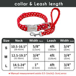 Polka Dot Leash And Collar Set - Shop & Dog