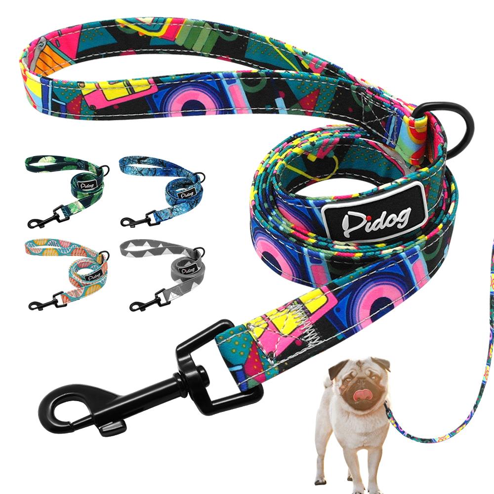 Pup-ular Patterned Nylon Dog Leash - Shop & Dog