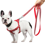 Reflective Step-In Harness And Leash Set - Shop & Dog