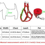 Reflective Step-In Harness And Leash Set - Shop & Dog