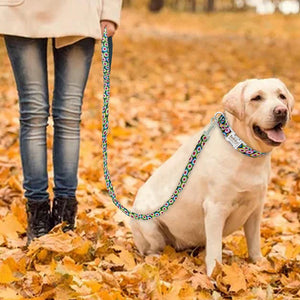 Labrador on daisy leash