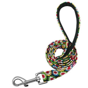 Various Leashes - to be edited - Shop & Dog